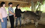 Đa dạng hóa các mô hình giảm nghèo toàn diện
