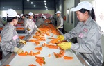 Chủ động triển khai các biện pháp bảo đảm sản xuất, chế biến, tiêu thụ và xuất khẩu nông sản