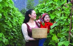 Nữ MC tạo tuổi thơ đẹp cho con ở quê nhà