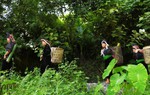 Phụ nữ La Ha "giữ lửa" văn hóa truyền thống