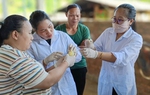 Bắc Kạn: Đẩy mạnh đào tạo nghề và giải quyết việc làm cho người dân tộc thiểu số 
