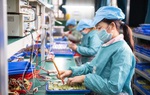 Hơn 24.000 doanh nghiệp rút khỏi thị trường mỗi tháng