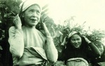 Đóng góp quan trọng của phụ nữ Việt Nam trong Chiến dịch Điện Biên Phủ