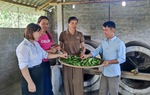 Tạo "lá chắn" bảo vệ phụ nữ trên không gian mạng