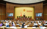 Họp Quốc hội: Đề xuất tăng thuế tiêu thụ đặc biệt với rượu, bia, thuốc lá từ năm 2027