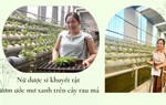 Nữ dược sĩ khuyết tật ươm ước mơ xanh trên cây rau má