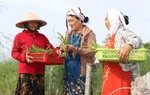Bình Dương: Sôi nổi các câu lạc bộ dành cho phụ nữ và trẻ em dân tộc thiểu số 