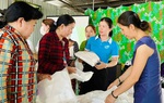Hội LHPN tiên phong lan tỏa lối sống xanh: Từ cam kết chính trị đến hành động thiết thực