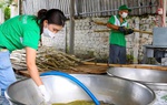 Quảng Ngãi: Vực dậy nghề truyền thống, hỗ trợ sinh kế cho nông dân