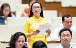 Đại biểu Quốc hội: Công tác bình đẳng giới cần đảm bảo hiệu quả sau tinh gọn bộ máy