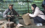Hồi sinh nghề đan lát của người dân tộc Cơ Tu nhờ du lịch cộng đồng