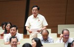 Đại biểu Quốc hội nói về "những cuộc chia ly trong thời bình" sau sáp nhập