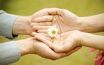 Truyện ngắn: Có phải còn thương?