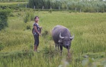 Phủ sóng thông tin, tiếp sức hộ nghèo vươn lên thoát nghèo bền vững 