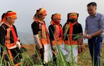 Chương trình Giảm nghèo và Nông thôn mới: Thu hẹp khoảng cách vùng miền, thúc đẩy phát triển khu vực nông thôn
