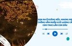 Audio: Vợ chồng tôi đã dọn ra ở riêng nhưng mẹ chồng vẫn muốn giữ lương 