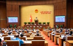 Tạo cơ chế đặc biệt nhập quốc tịch Việt Nam để thu hút nguồn lực chất lượng cao