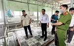 Thịt heo bệnh tại Dững Nga: Những câu hỏi đặt ra khi C.P thừa nhận... từng phần