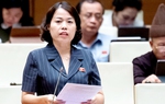 Nghị quyết chỉ định Trưởng đoàn, Phó Trưởng đoàn đại biểu Quốc hội