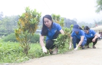 “Trao cần câu” giúp chị em làm chủ cuộc sống, chủ động quyết định kinh tế gia đình