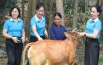 Hơn 65.000 phụ nữ vùng biên xứ Nghệ hưởng lợi từ hành trình xóa nghèo thông tin