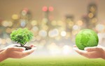Ngày Môi trường thế giới 5/6: Phụ nữ - Những người hùng thầm lặng trong "cuộc chiến" vì môi trường