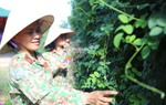 Đội Công binh số 3 giúp người dân Abyei nâng cao nhận thức và cải thiện đời sống