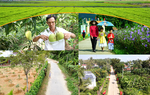 Kế hoạch tổng kết Chương trình mục tiêu quốc gia xây dựng nông thôn mới giai đoạn 2021 - 2025