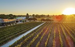 Thưởng thức rượu vang hảo hạng tại thung lũng Swan, Tây Australia