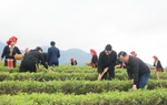 Lào Cai: Đẩy mạnh công tác truyền thông xây dựng nông thôn mới