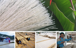 Nông sản vùng cao chuyển mình từ bản làng ra thế giới 