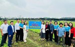 Phụ nữ Nghệ An sáng tạo trong xây dựng Nông thôn mới
