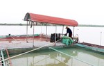 Đề nghị các tỉnh, thành phố đảm bảo an toàn đê điều để ứng phó bão và mưa lũ