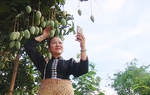 Đưa trái cây Sơn La đi xa nhờ ứng dụng công nghệ số 