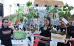 Quảng Ngãi: Xây dựng xã Ngọc Linh trở thành địa bàn trọng điểm về dược liệu