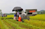 Thái Nguyên: Thúc đẩy kinh tế nông nghiệp gắn với xây dựng nông thôn mới
