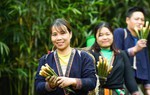 Phát triển kinh tế hàng hóa từ rừng núi: Hướng đi bền vững cho phụ nữ dân tộc thiểu số