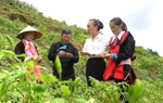 Chương trình giảm nghèo vượt chỉ tiêu đề ra