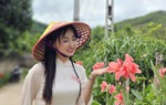 Thôn Khe Sâu (Bắc Ninh): Diện mạo mới trên các tuyến đường 