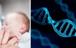 Sử dụng DNA của 3 người để tránh bệnh di truyền cho trẻ sơ sinh