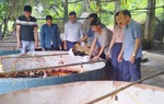 Hỗ trợ người dân phát triển kinh tế từ mô hình nuôi gà theo hướng VietGAHP