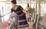 Khát vọng vươn xa từ những sản phẩm bản địa
