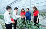 Agribank tung gói tín dụng ưu đãi lớn lên tới 110.000 tỷ đồng ngay từ đầu năm 2025