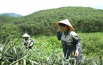 Trở về bản Thổ - hành trình của cô gái bỏ phố về rừng