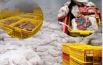 Cận cảnh kho chứa hàng chục tấn thịt bẩn đội lốt "đặc sản vùng cao" tại Phú Thọ