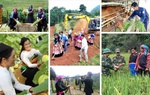 Chính phủ chỉ đạo tháo gỡ khó khăn vướng mắc cho các chương trình mục tiêu quốc gia 