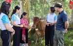 Chăm lo đời sống đồng bào dân tộc thiểu số ngày càng tốt hơn