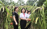 Lãnh đạo Hội LHPN Việt Nam kiểm tra, giám sát việc thực hiện Dự án 8 tại Tuyên Quang