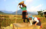 Xây dựng nông thôn mới cần thực hiện chuyển đổi số nông nghiệp, quản lý nông thôn vùng Tây Bắc