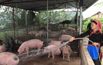 Đổi thay ở xã vùng cao biên giới nhờ phong trào xây dựng nông thôn mới